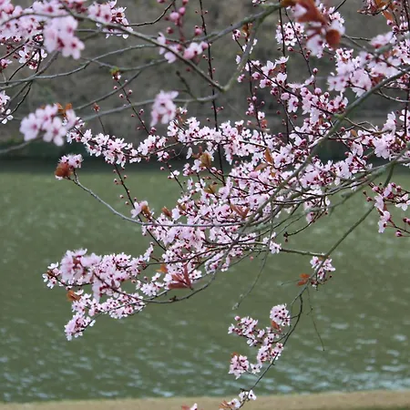 'freund Am See' 3 בית נופש *