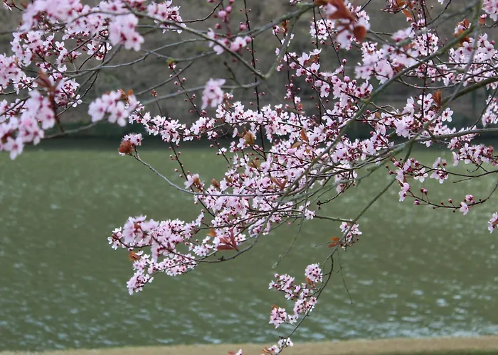 'freund Am See' 3 Feriehus *
